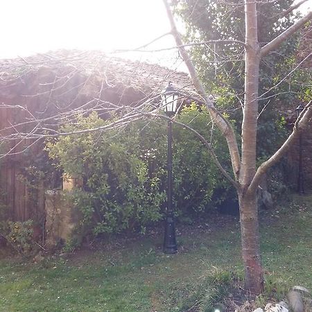 Casa Rural Josefina Aliezo Dış mekan fotoğraf